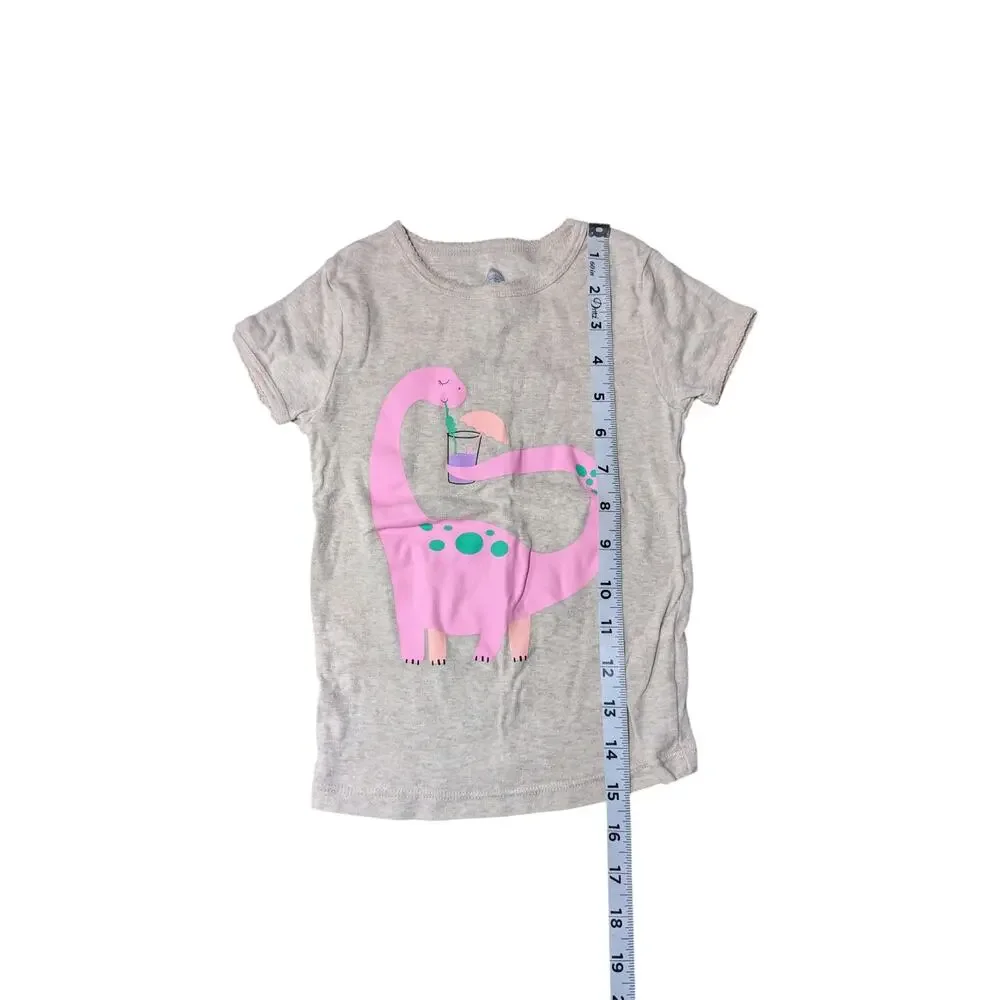 Wonder Nation-Pink Dinosaur Pajamas-Size 5T-Pink Dino Top-Multicolor Dino Bottom
